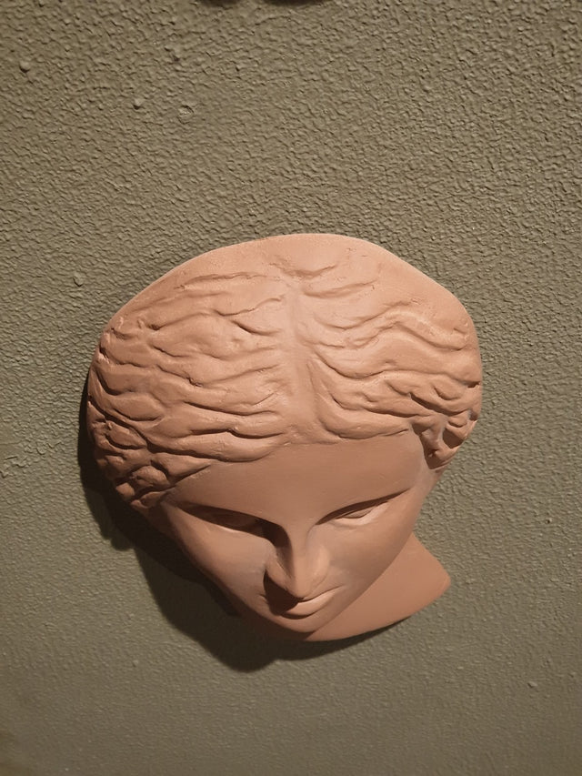 Terra Faces