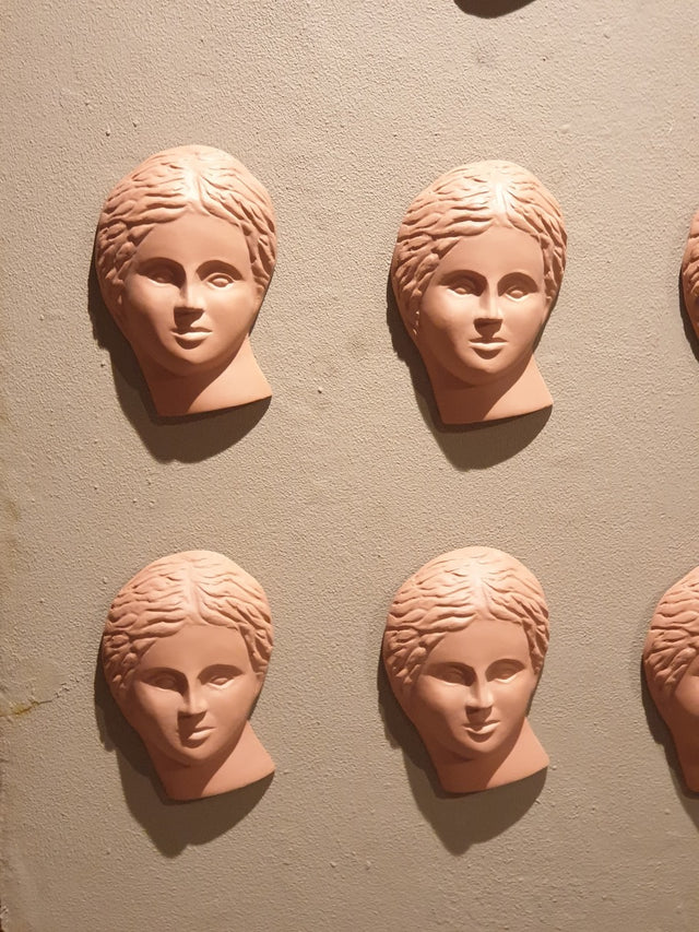 Terra Faces