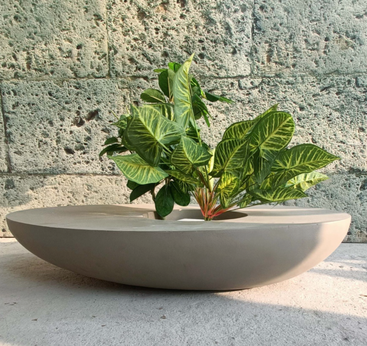 Navi Hemispheric Planter