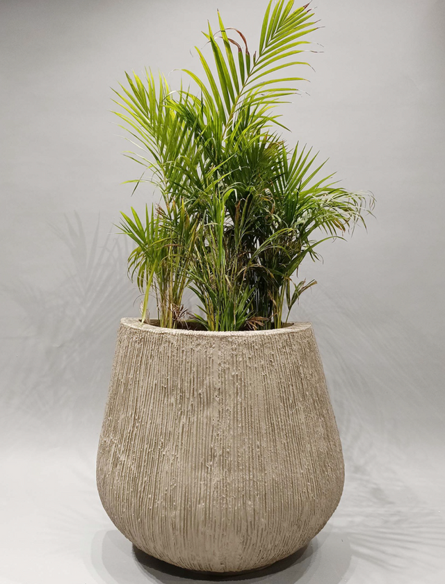 Hedra Planter