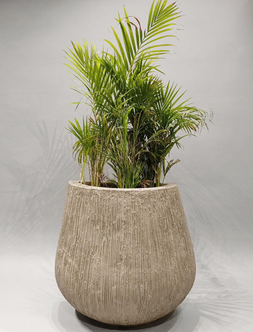 Hedra Planter