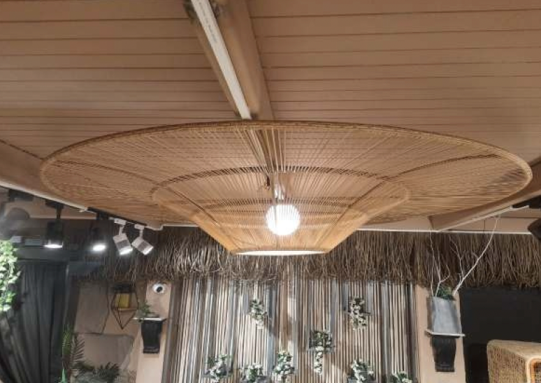 Halo Disc Ceiling Light