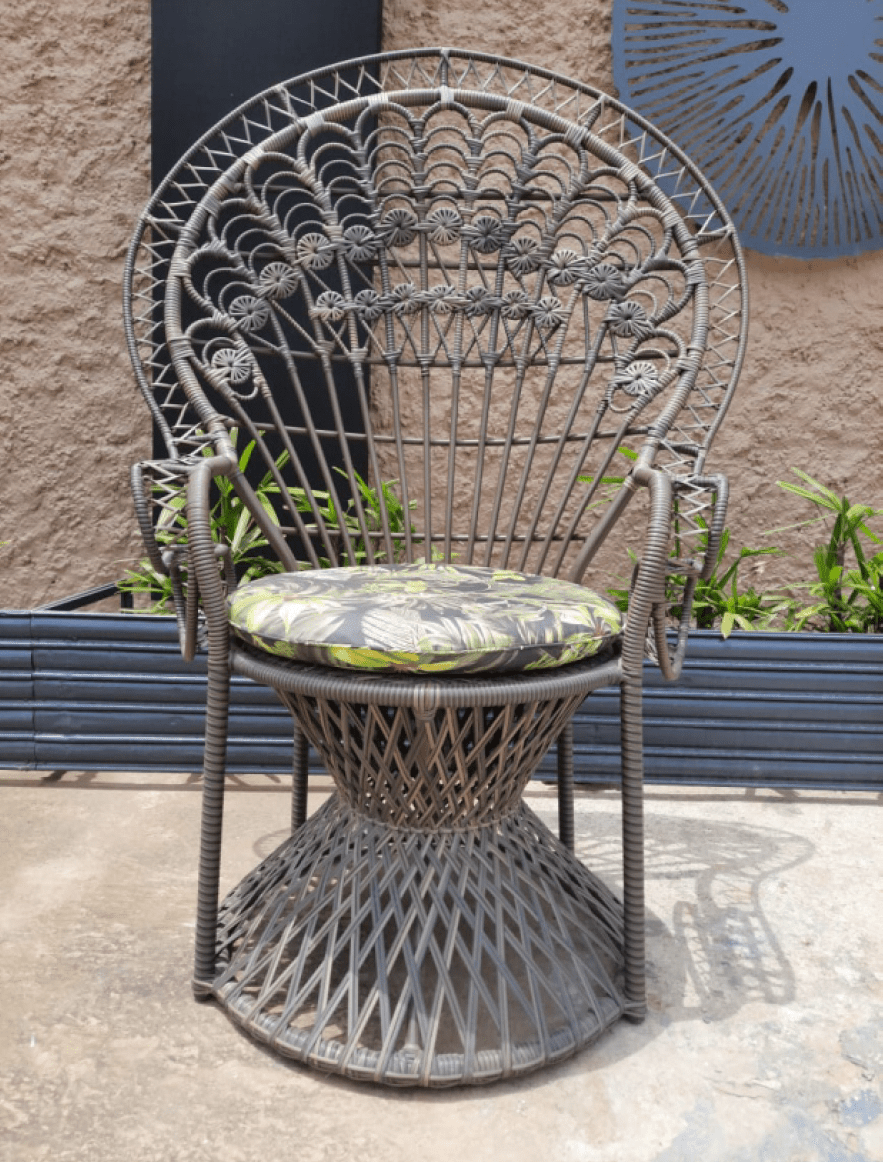 Quintessential Peacock Chair - Main Image