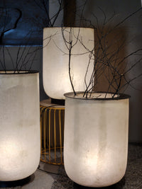 Halo Planter