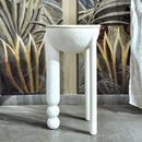 Orbicular Coffee Table