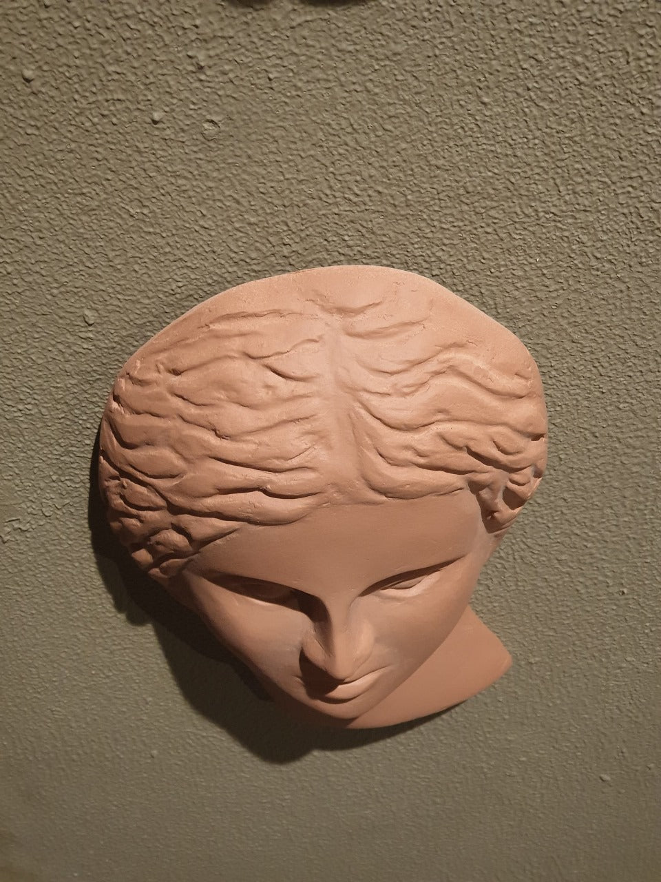 Terra Faces