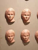 Terra Faces