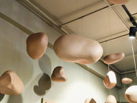 Suspended Reverie