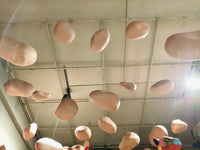 Suspended Reverie