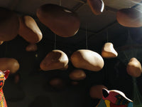 Suspended Reverie