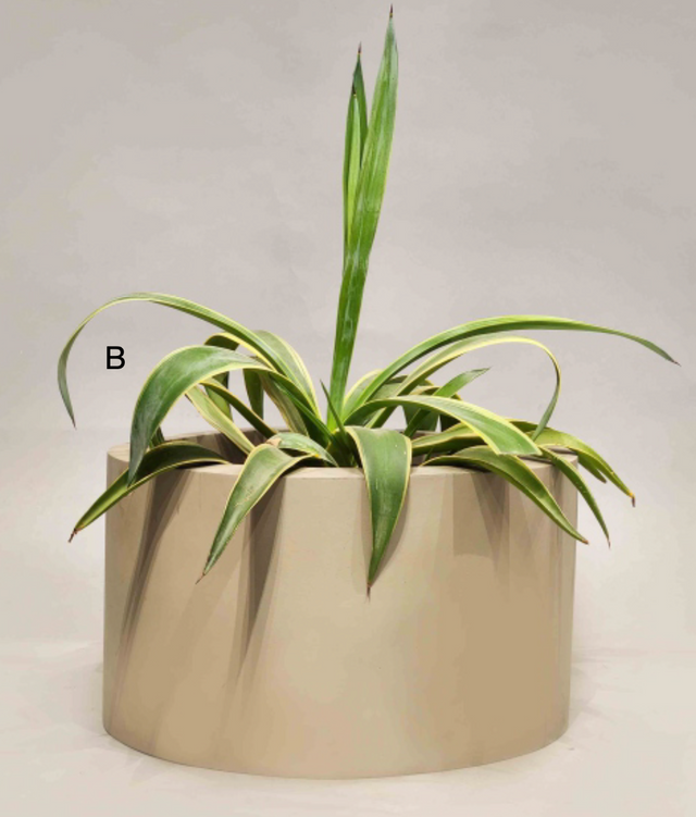 Stillroot Group Planters