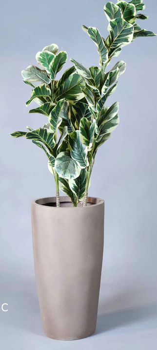 Forma Trio Planter