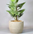 Drift Duo Planter