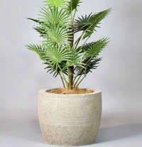 Drift Duo Planter