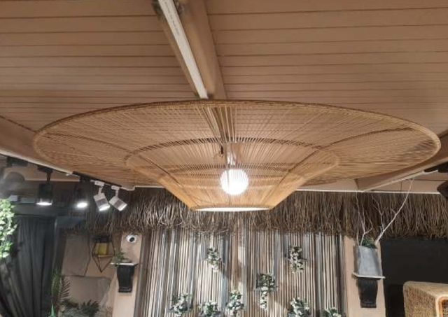 Halo Disc Ceiling Light