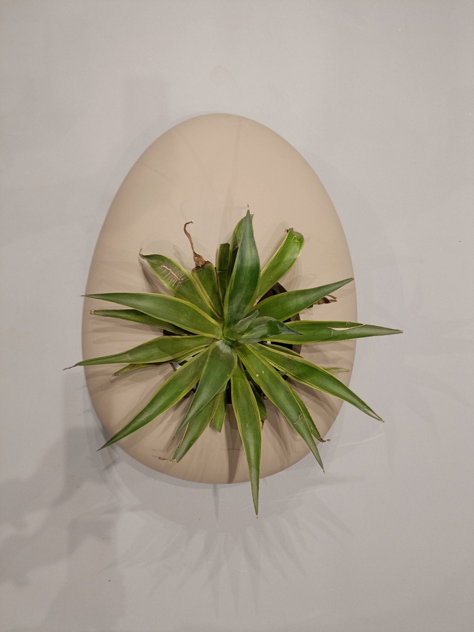 Artisan's Haven Oval Planter - Decor - Bareeki