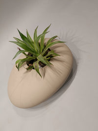 Artisan's Haven Oval Planter - Decor - Bareeki