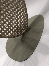 Cane Artis - Tree - Decor - Bareeki
