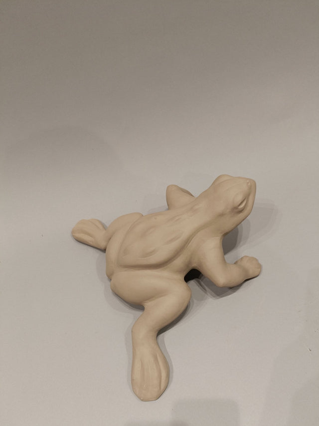 Frog Sculpté - Decor - Bareeki