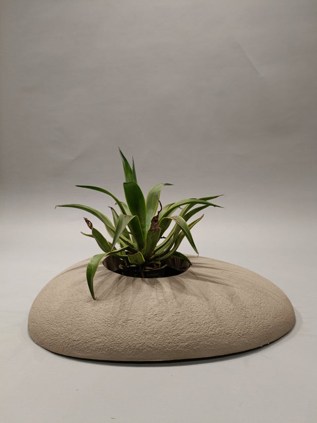 Serenity Oasis Planter - Planter - Bareeki