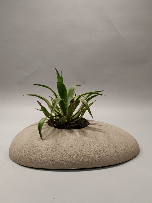 Serenity Oasis Planter - Planter - Bareeki