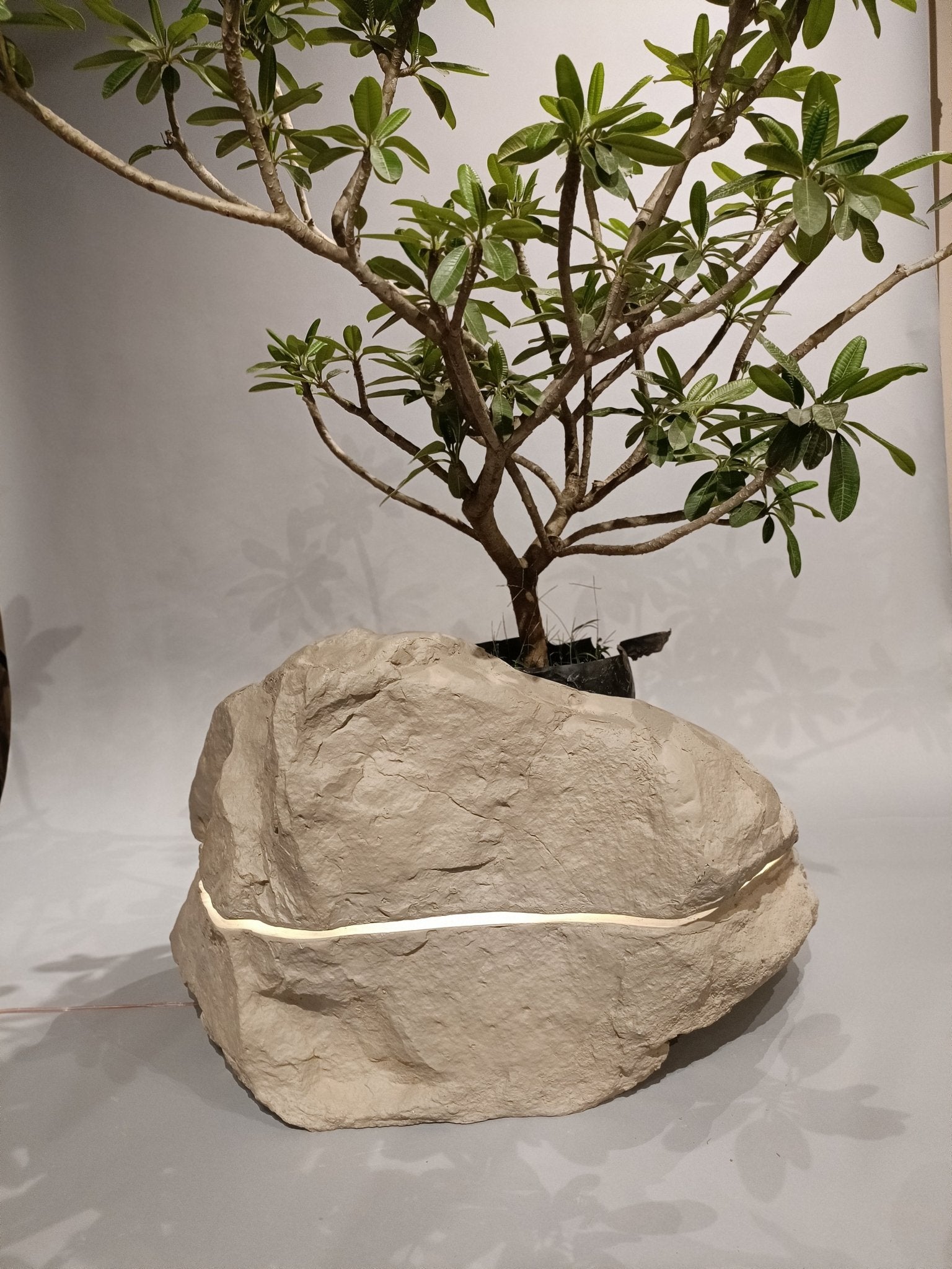 Terra Planter with LED