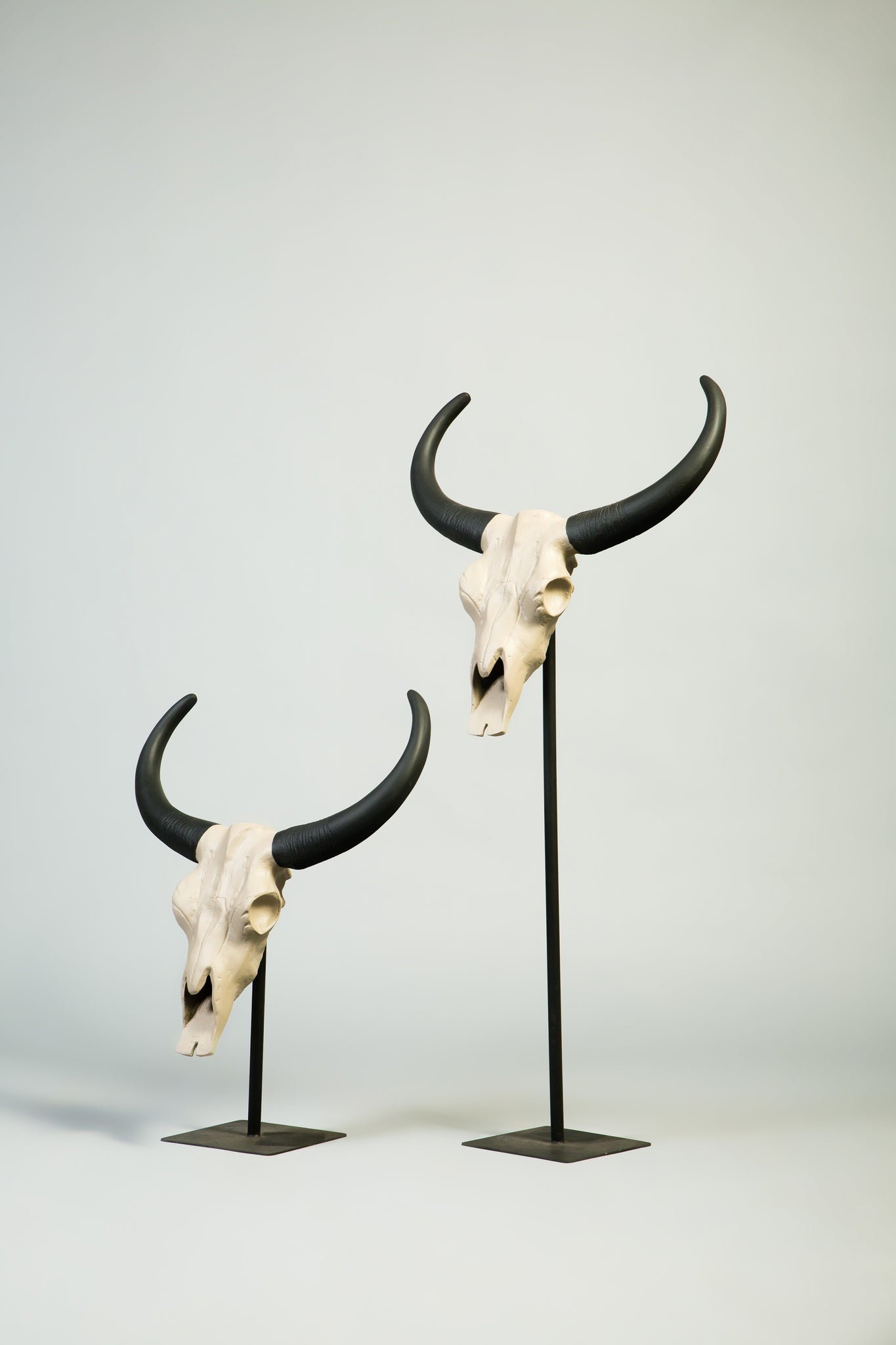 Longhorn Buffalo Skull Sculptures
